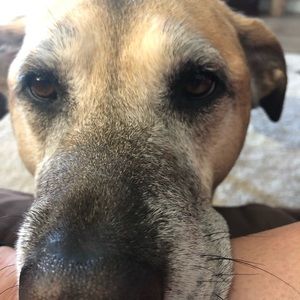 Meet your Posher, Cindy